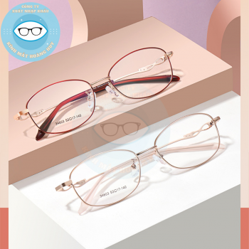 Gọng kim loại công sở mã 34603